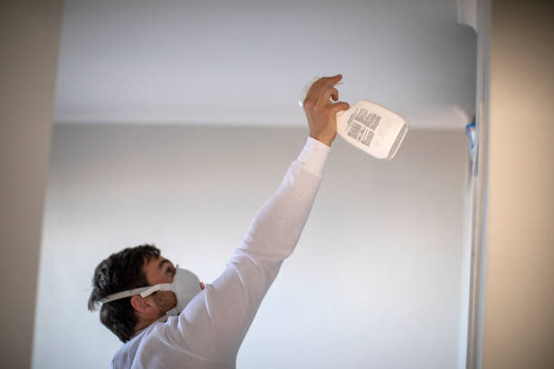 Best Basement Mold Remediation in Richmond, MN